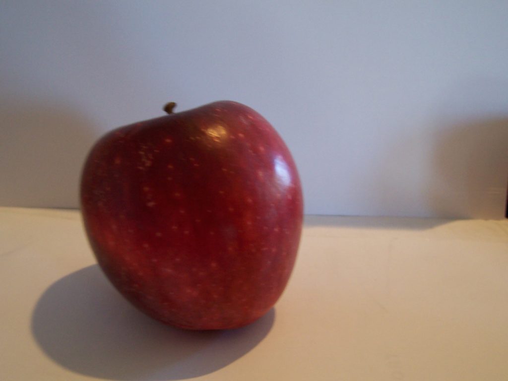 Winesap Beisecker Farms